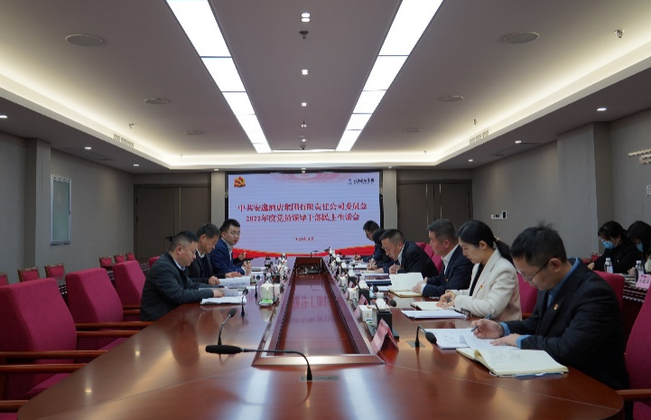 尊龙凯时集团党委书记、董事长任丁出席安逸酒店集团2022年度党员领导干部民主生活会